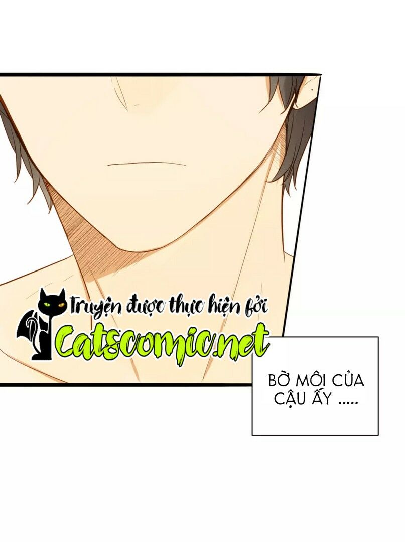 Điều giáo quan hệ: Chapter 25