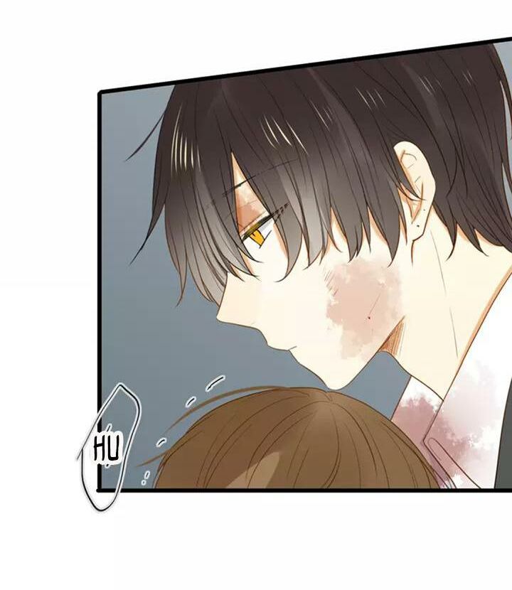 Điều giáo quan hệ: Chapter 28
