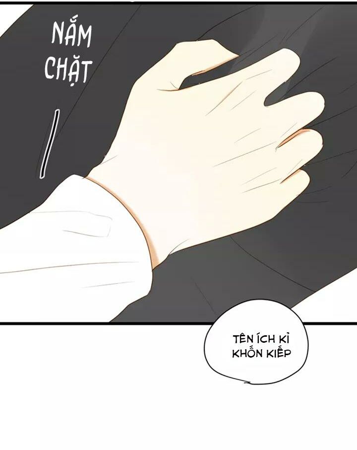 Điều giáo quan hệ: Chapter 28