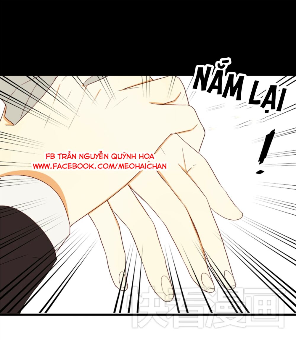 Điều giáo quan hệ: Chapter 3