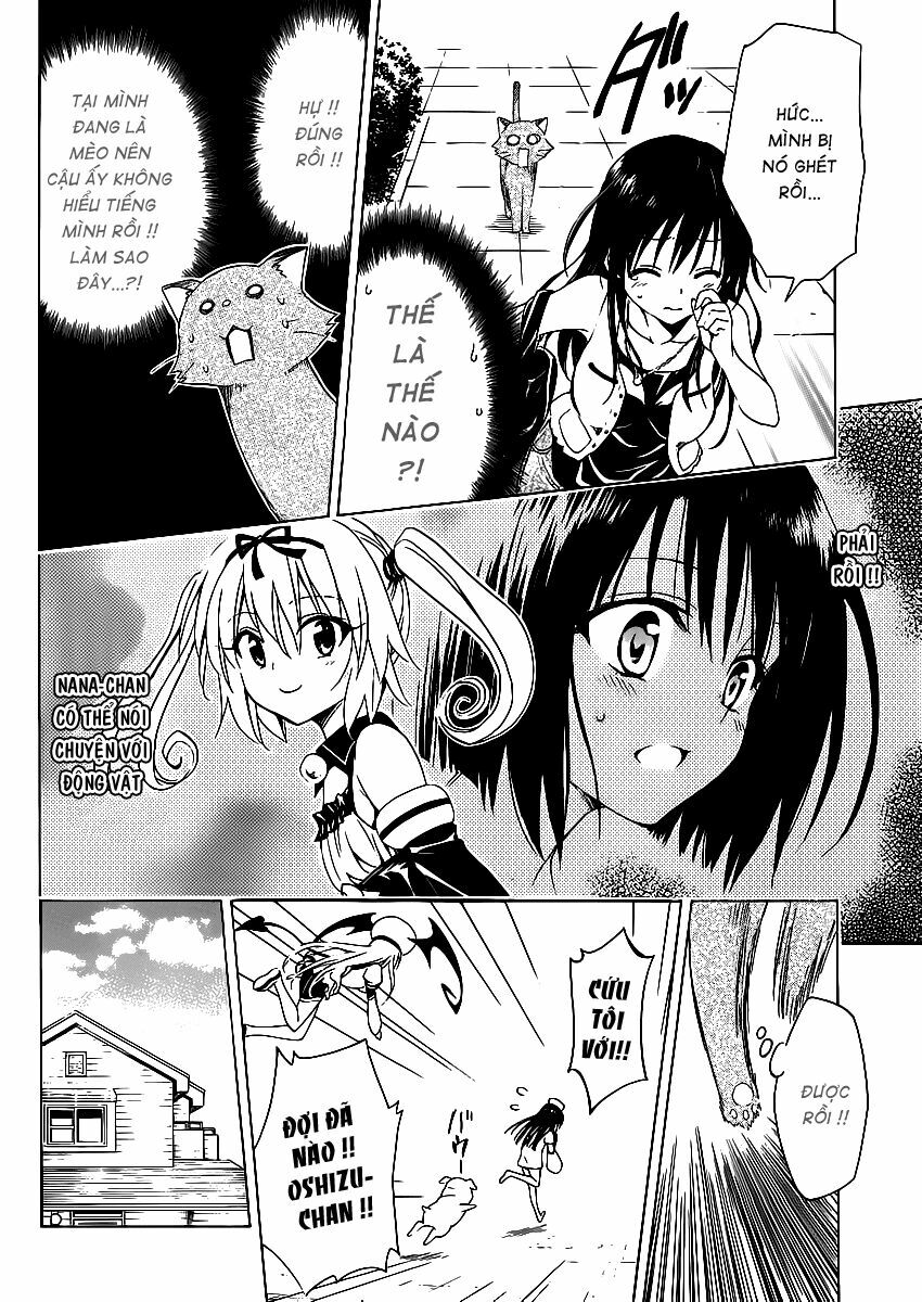 Bọn tớ thích cậu! Rito 2: Chapter 13.5: - Extra - Body touch? ~ ...