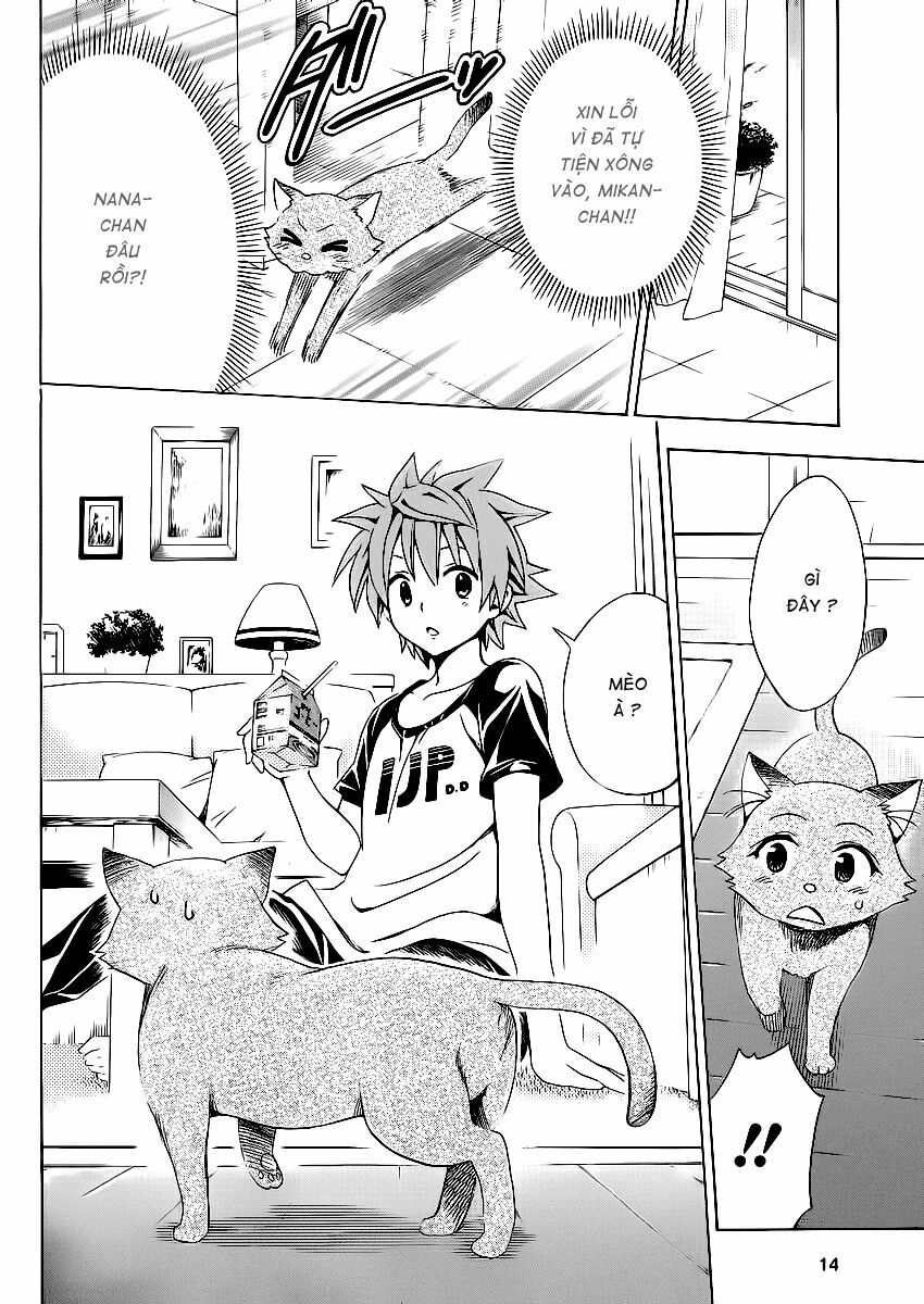 Bọn tớ thích cậu! Rito 2: Chapter 13.5: - Extra - Body touch? ~ ...