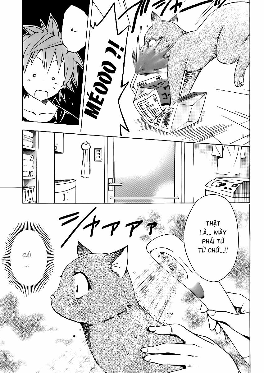 Bọn tớ thích cậu! Rito 2: Chapter 13.5: - Extra - Body touch? ~ ...