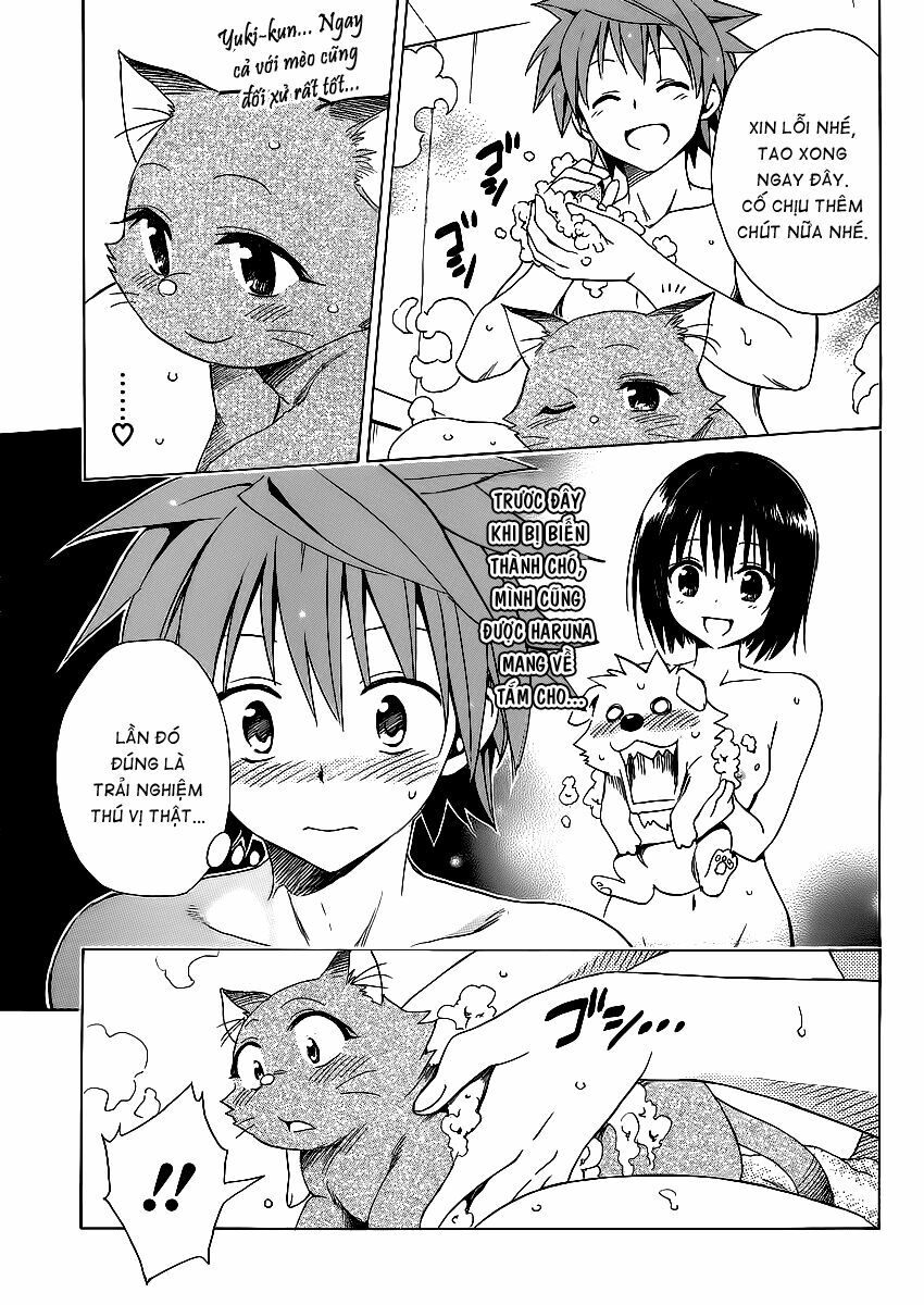 Bọn tớ thích cậu! Rito 2: Chapter 13.5: - Extra - Body touch? ~ ...