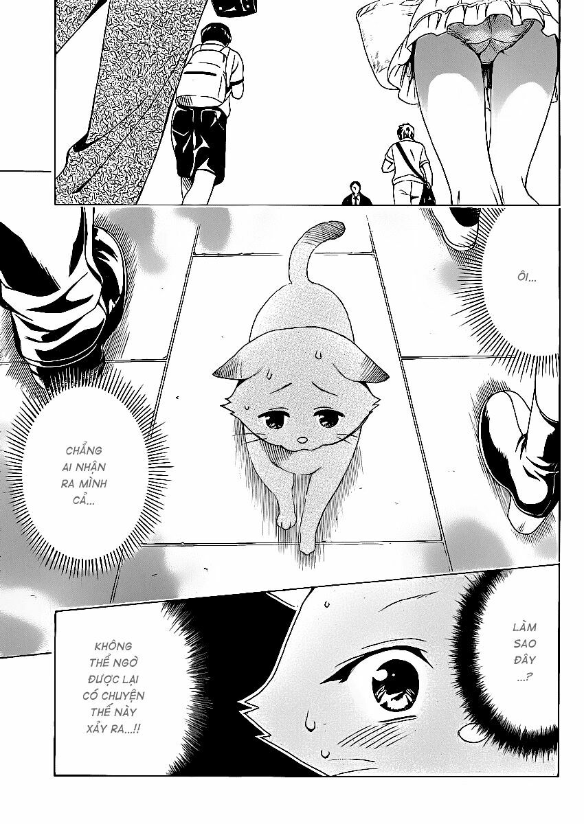 Bọn tớ thích cậu! Rito 2: Chapter 13.5: - Extra - Body touch? ~ ...