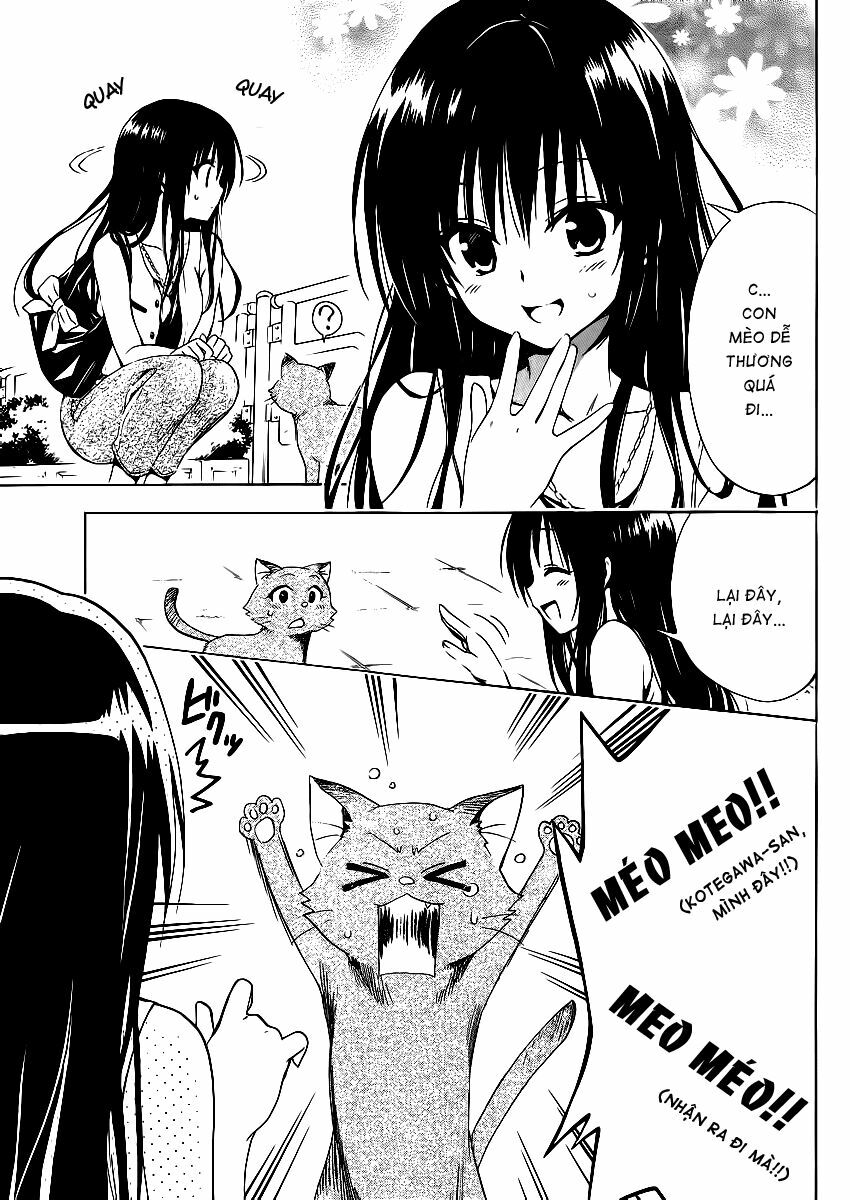 Bọn tớ thích cậu! Rito 2: Chapter 13.5: - Extra - Body touch? ~ ...