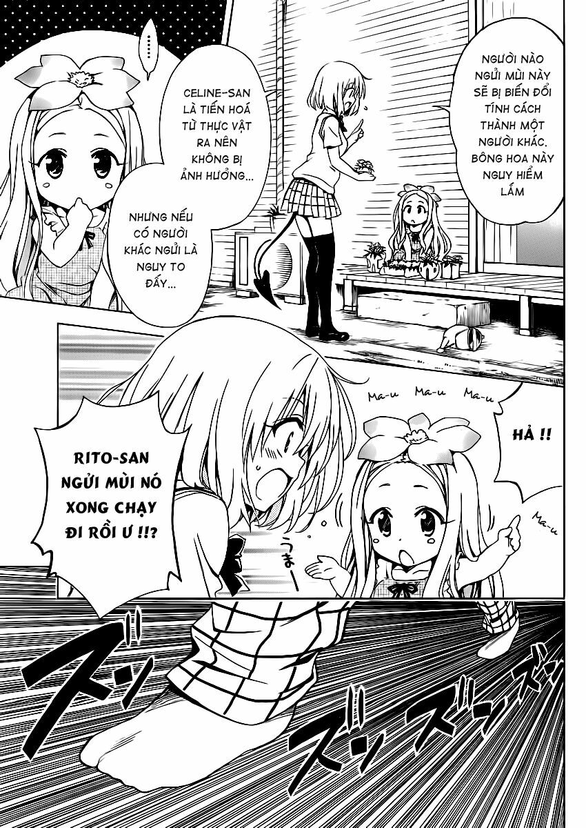 Bọn tớ thích cậu! Rito 2: Chapter 16.5: - Extra - Flower~ Cảm xú ...