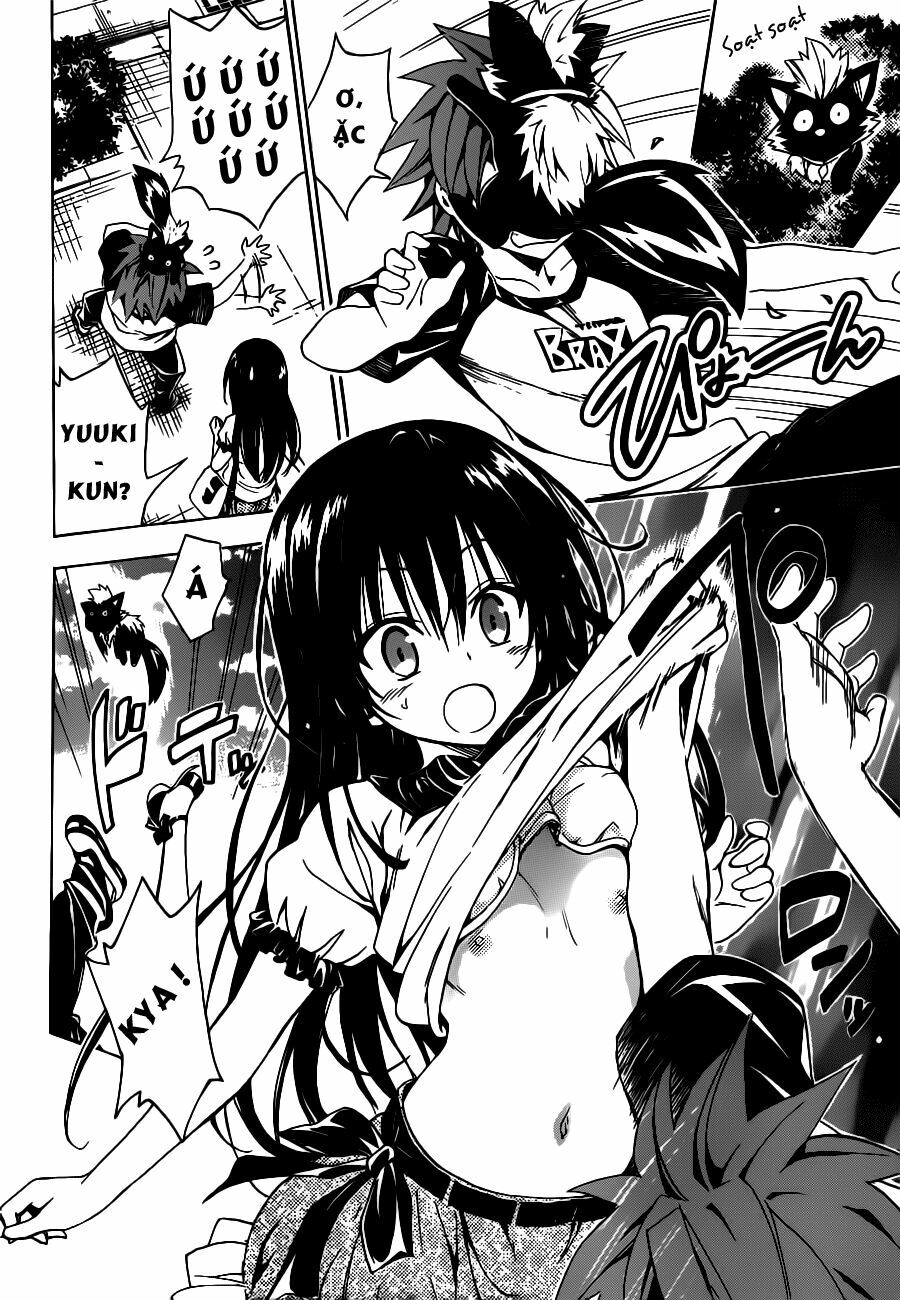 Bọn tớ thích cậu! Rito 2: Chapter 19: - Nostalgia ~ Ngày trước.. ...