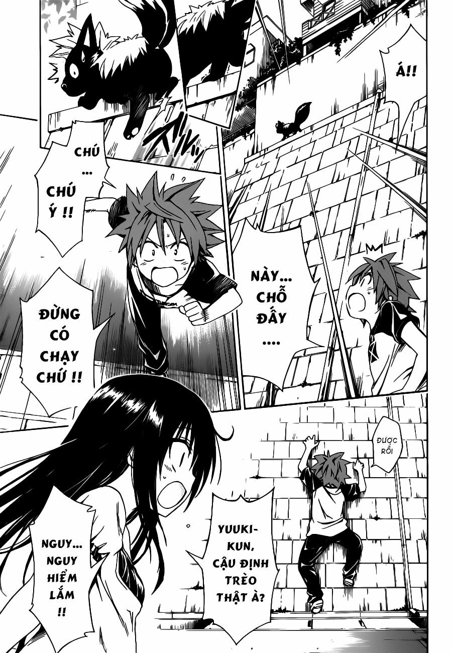 Bọn tớ thích cậu! Rito 2: Chapter 19: - Nostalgia ~ Ngày trước.. ...