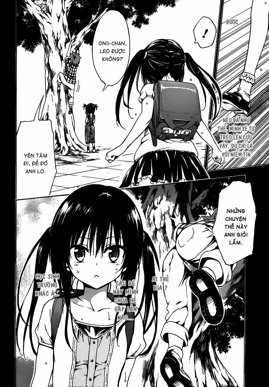 Bọn tớ thích cậu! Rito 2: Chapter 19: - Nostalgia ~ Ngày trước.. ...