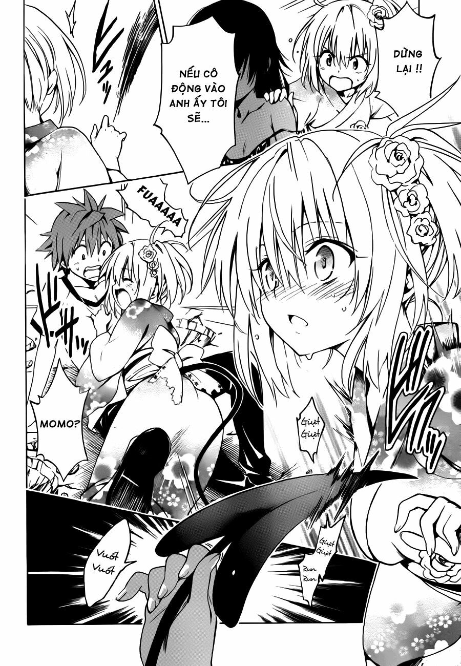 Bọn tớ thích cậu! Rito 2: Chapter 24