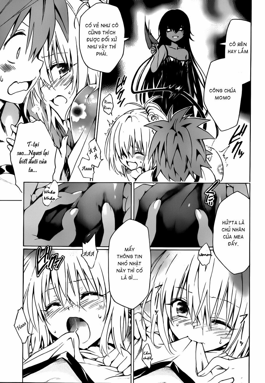 Bọn tớ thích cậu! Rito 2: Chapter 24