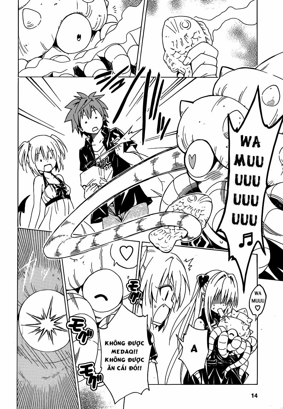 Bọn tớ thích cậu! Rito 2: Chapter 28.5