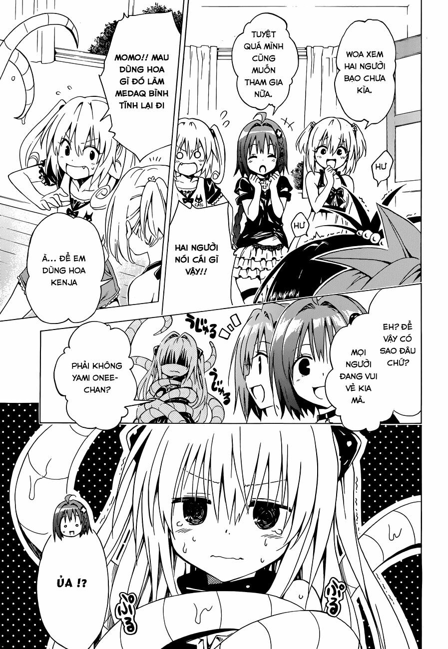 Bọn tớ thích cậu! Rito 2: Chapter 28.5