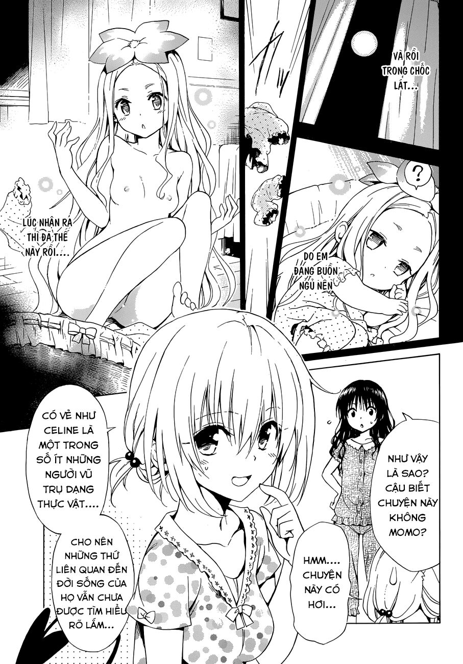 Bọn tớ thích cậu! Rito 2: Chapter 36.5