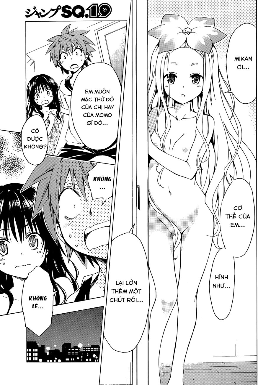 Bọn tớ thích cậu! Rito 2: Chapter 36.5
