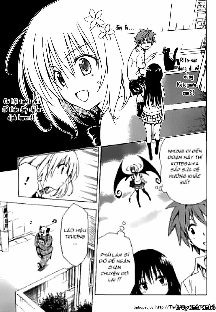 Bọn tớ thích cậu! Rito 2: Chapter 4: - Cơn bão bất chợt