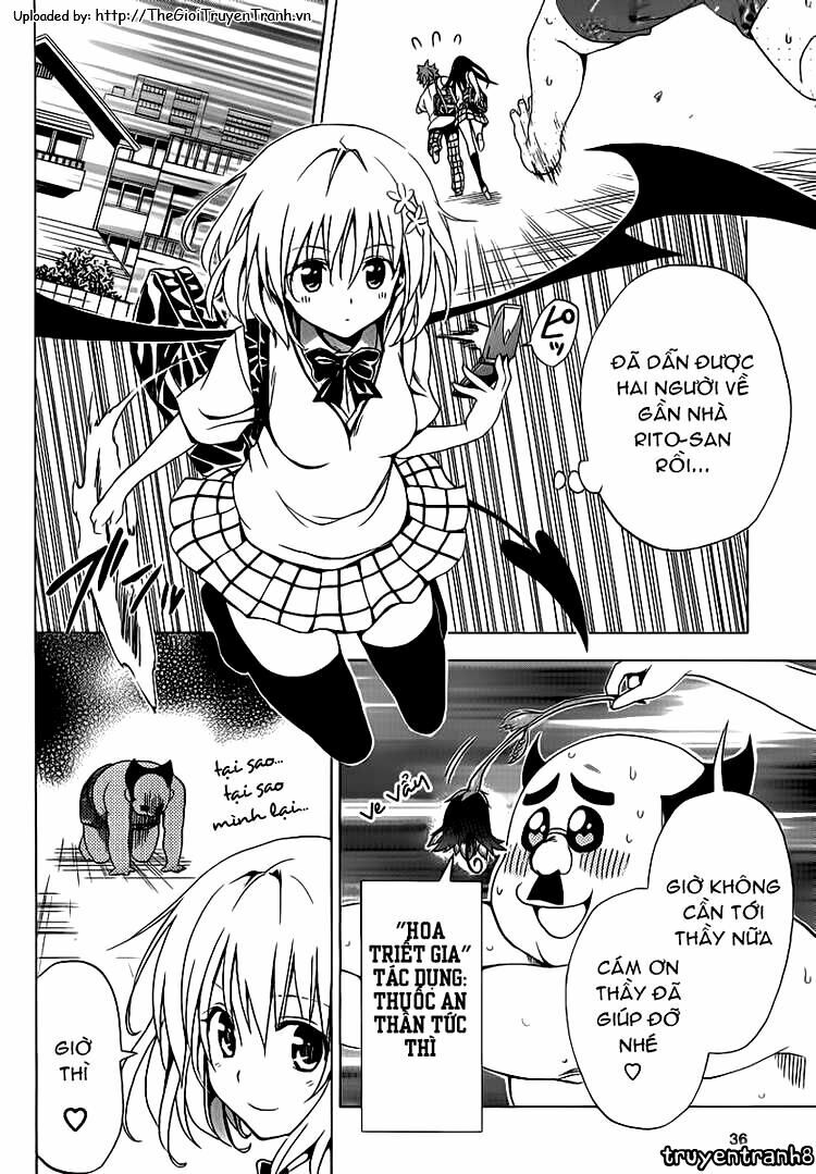 Bọn tớ thích cậu! Rito 2: Chapter 4: - Cơn bão bất chợt