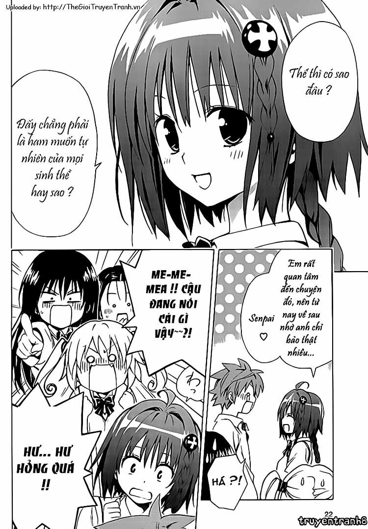 Bọn tớ thích cậu! Rito 2: Chapter 4: - Cơn bão bất chợt