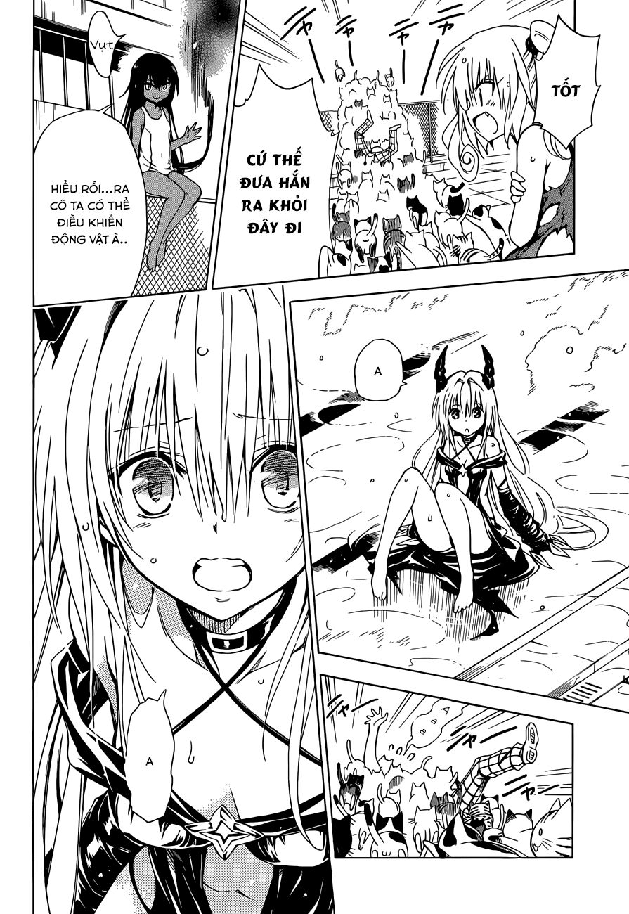 Bọn tớ thích cậu! Rito 2: Chapter 41