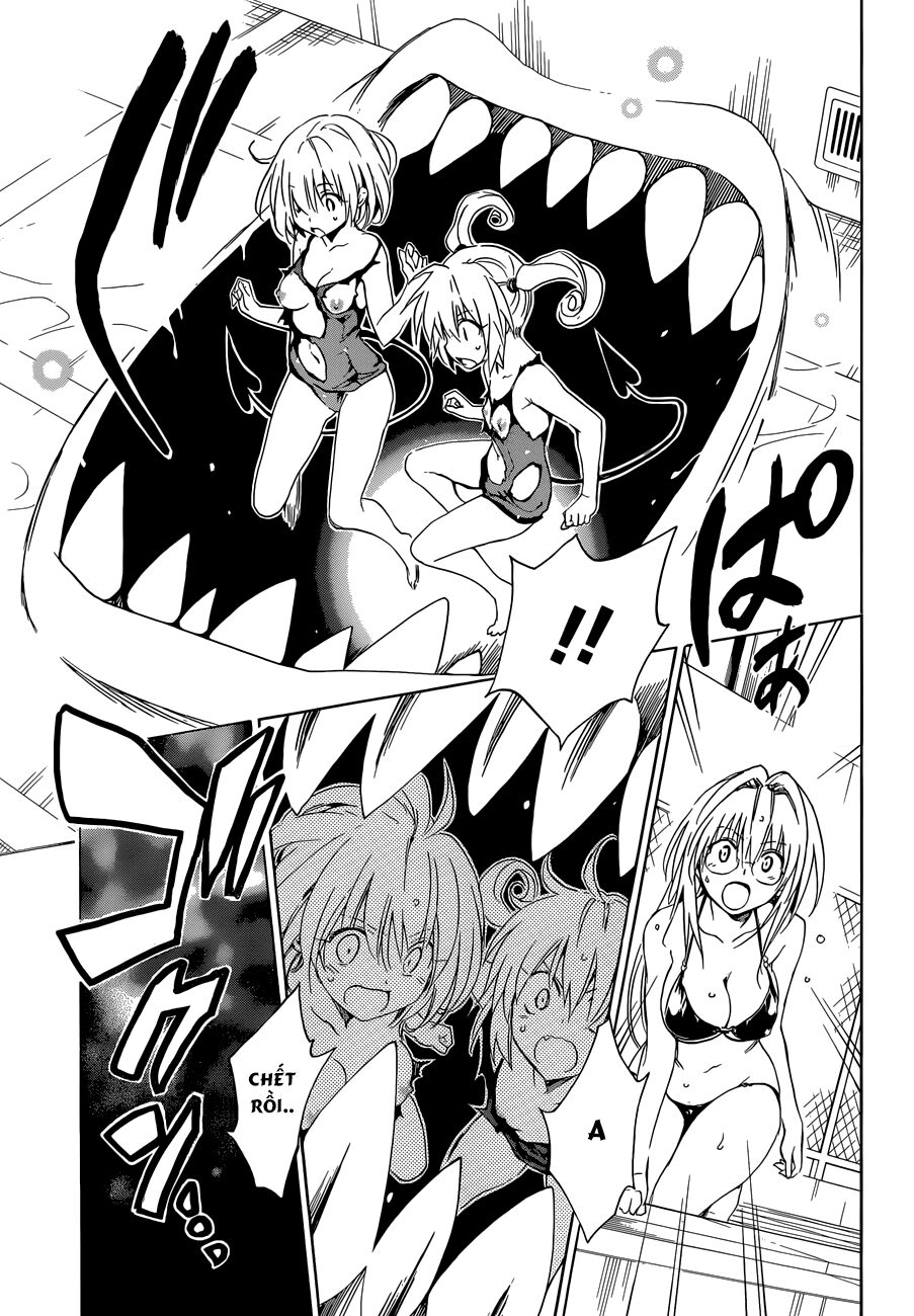 Bọn tớ thích cậu! Rito 2: Chapter 41