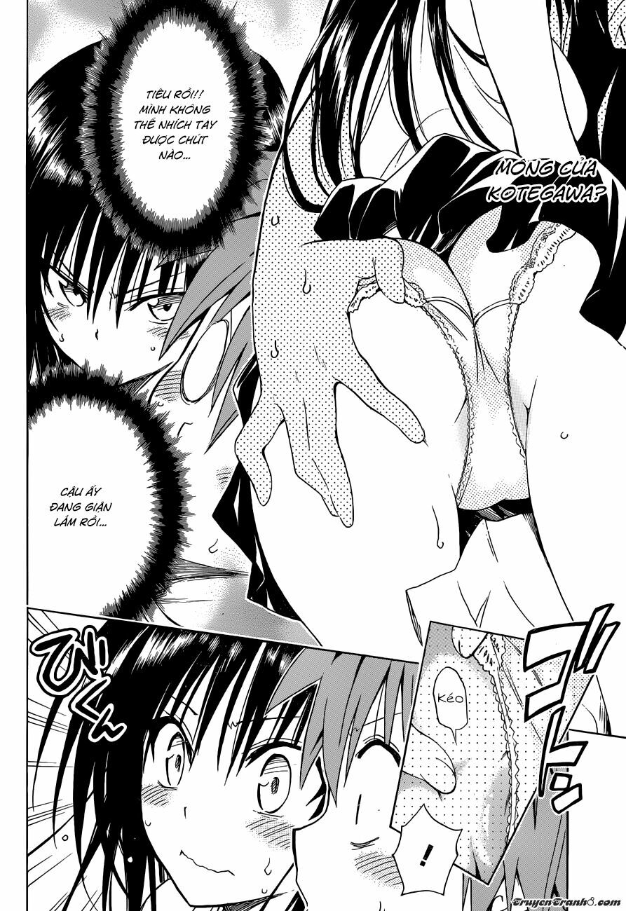 Bọn tớ thích cậu! Rito 2: Chapter 44.5