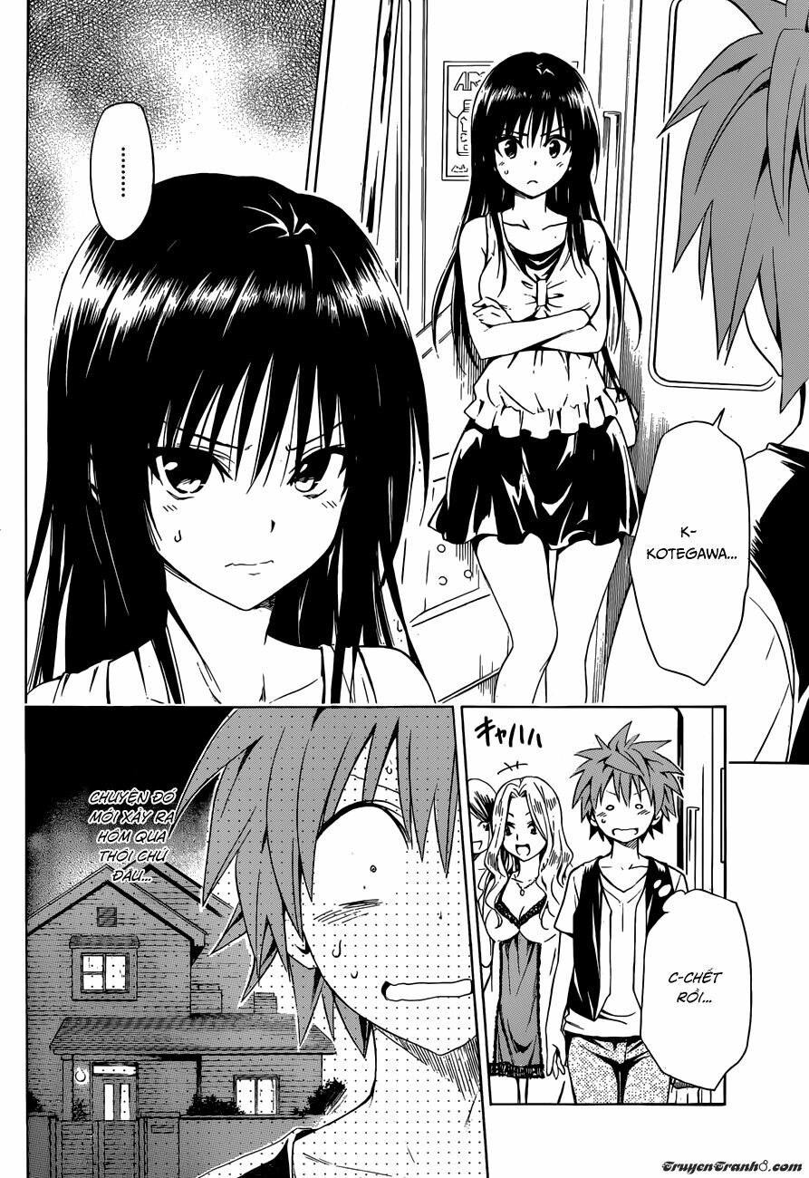 Bọn tớ thích cậu! Rito 2: Chapter 44.5