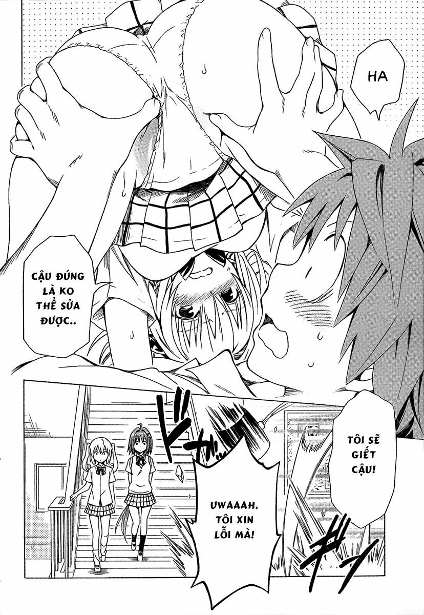 Bọn tớ thích cậu! Rito 2: Chapter 53.1
