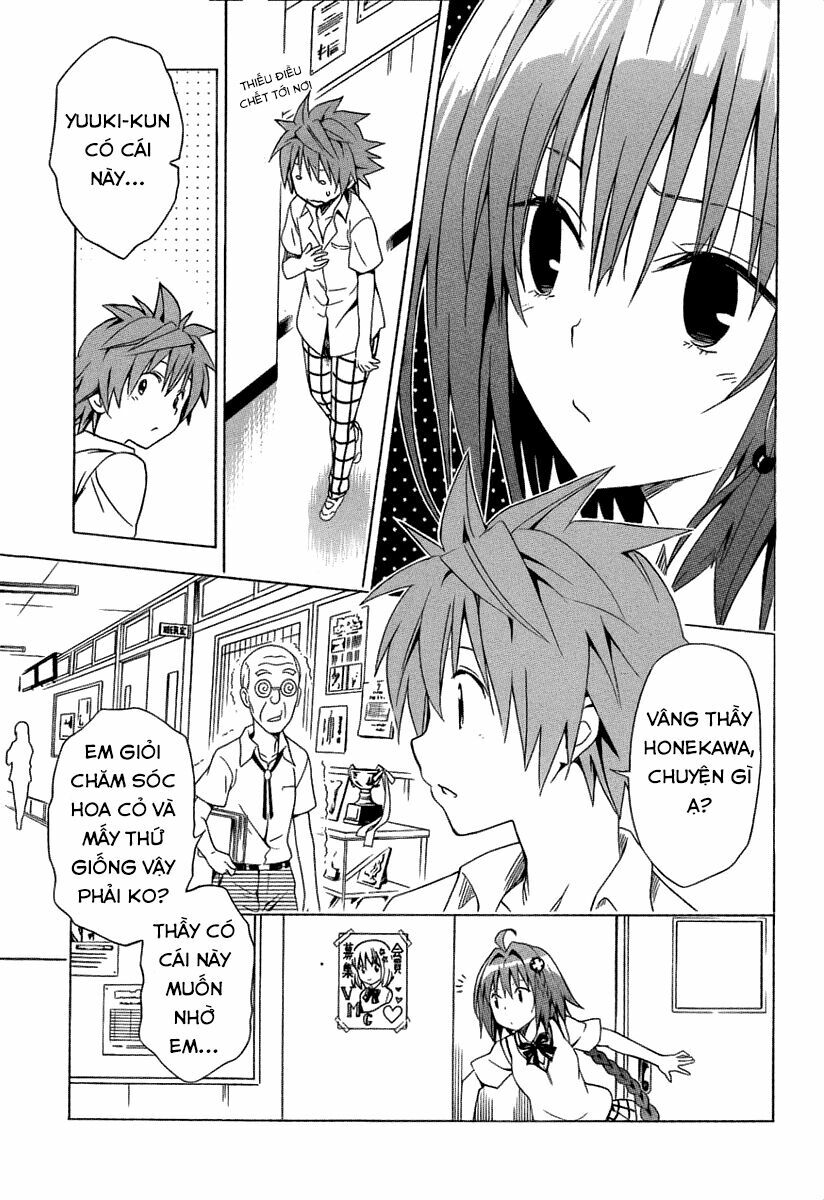 Bọn tớ thích cậu! Rito 2: Chapter 53.1