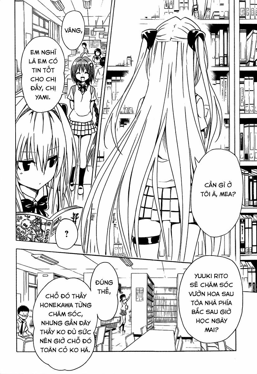 Bọn tớ thích cậu! Rito 2: Chapter 53.1