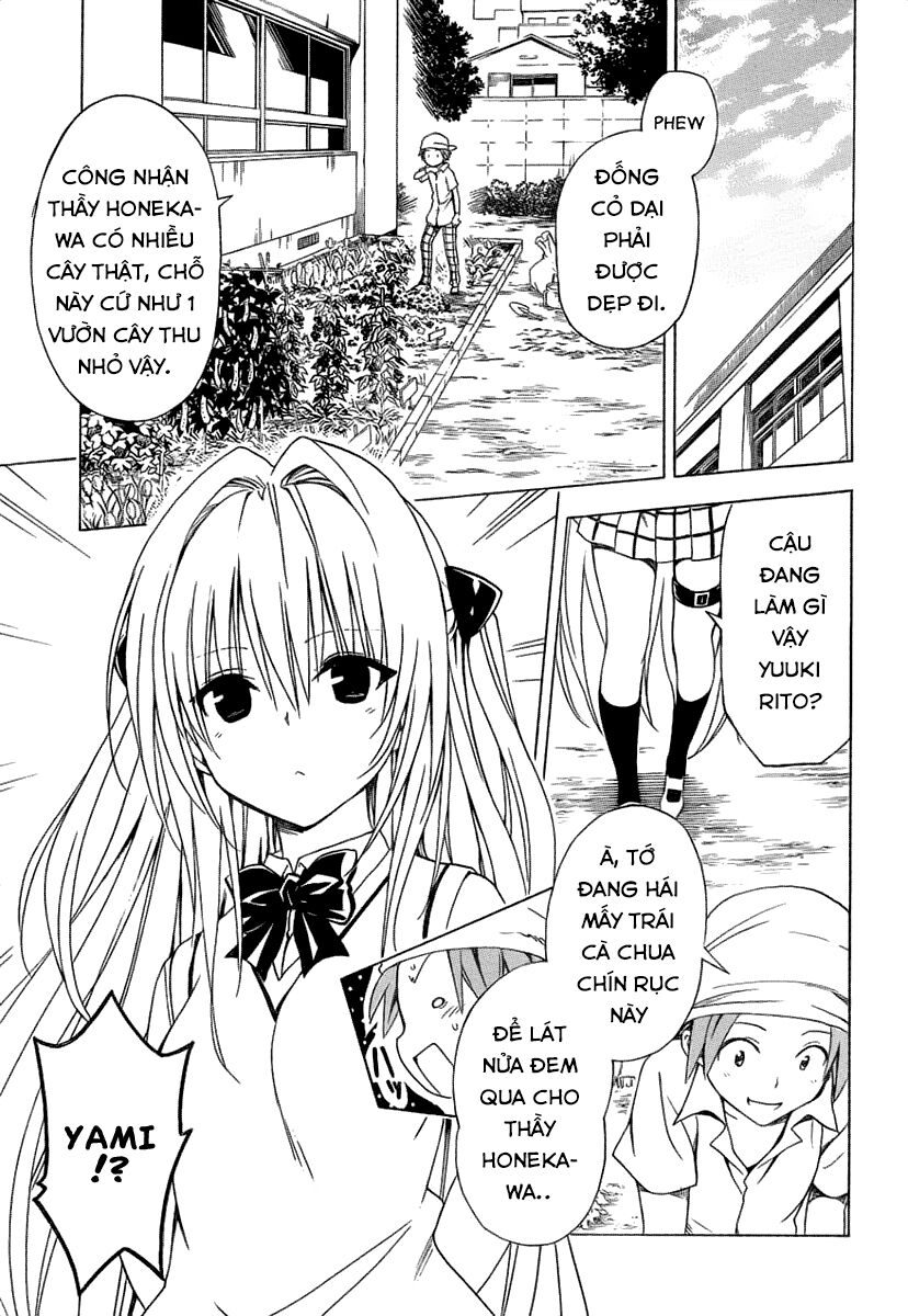 Bọn tớ thích cậu! Rito 2: Chapter 53.2