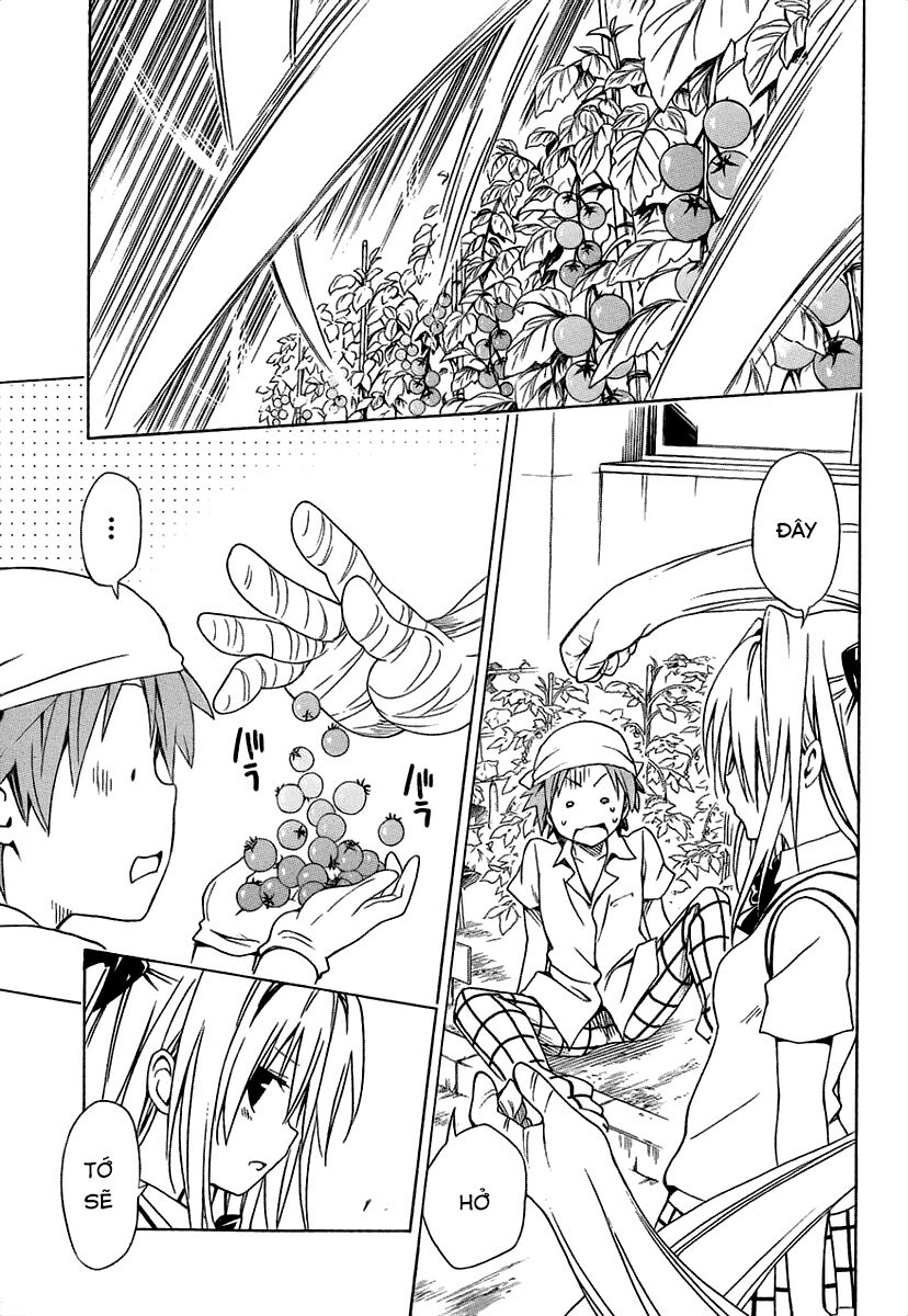 Bọn tớ thích cậu! Rito 2: Chapter 53.2