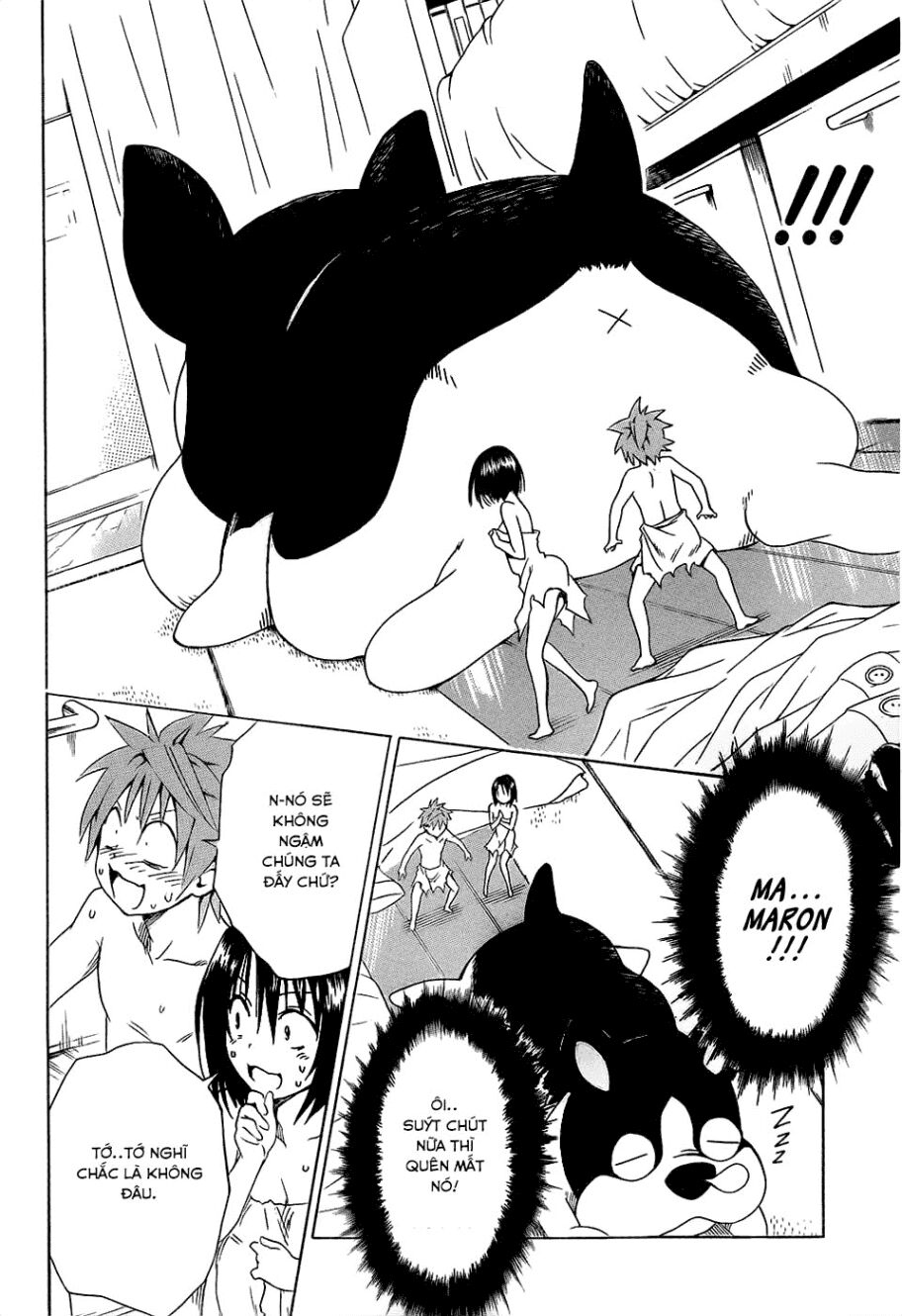 Bọn tớ thích cậu! Rito 2: Chapter 54