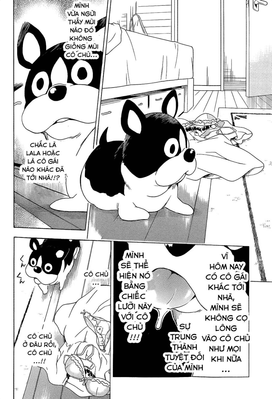 Bọn tớ thích cậu! Rito 2: Chapter 54