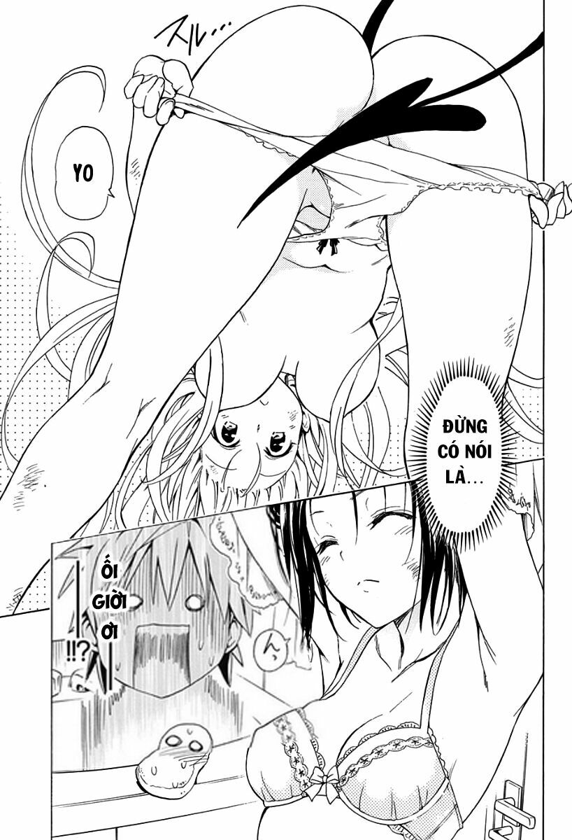Bọn tớ thích cậu! Rito 2: Chapter 57.5