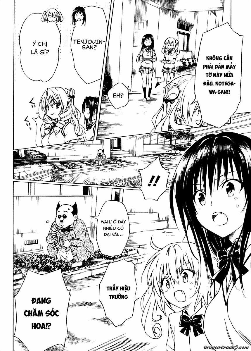 Bọn tớ thích cậu! Rito 2: Chapter 57