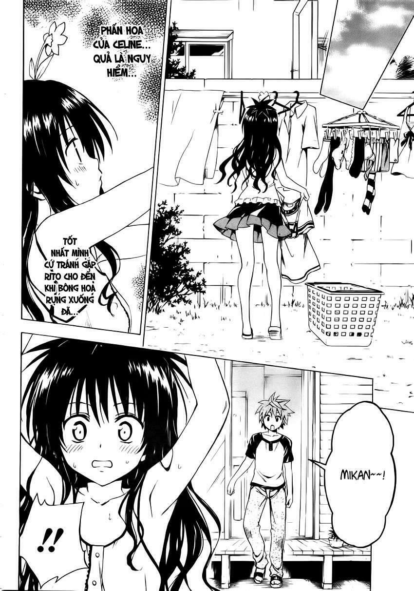 Bọn tớ thích cậu! Rito 2: Chapter 7.5: - Extra - Pollen Plan~ ...