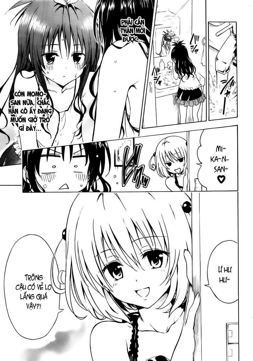 Bọn tớ thích cậu! Rito 2: Chapter 7.5: - Extra - Pollen Plan~ ...