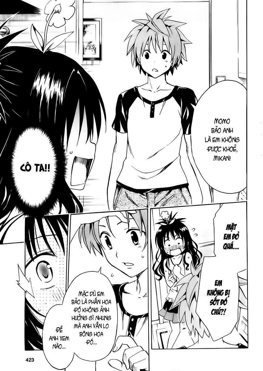 Bọn tớ thích cậu! Rito 2: Chapter 7.5: - Extra - Pollen Plan~ ...