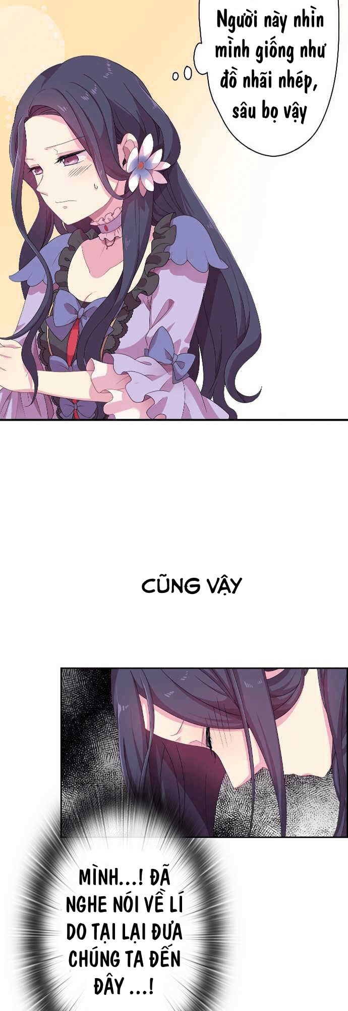Vợ Lẽ Của Vua: Chapter 8: chap mới