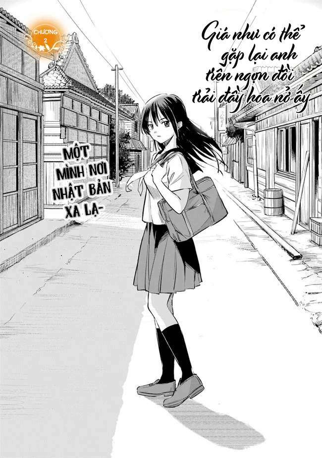 Giá Như Có Thể Gặp Lại Anh Trên Ngọn Đồi Trải Đầy Hoa Nở Ấy: Chapter 2