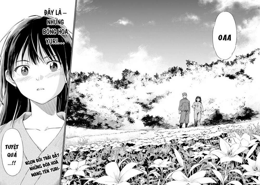 Giá Như Có Thể Gặp Lại Anh Trên Ngọn Đồi Trải Đầy Hoa Nở Ấy: Chapter 2