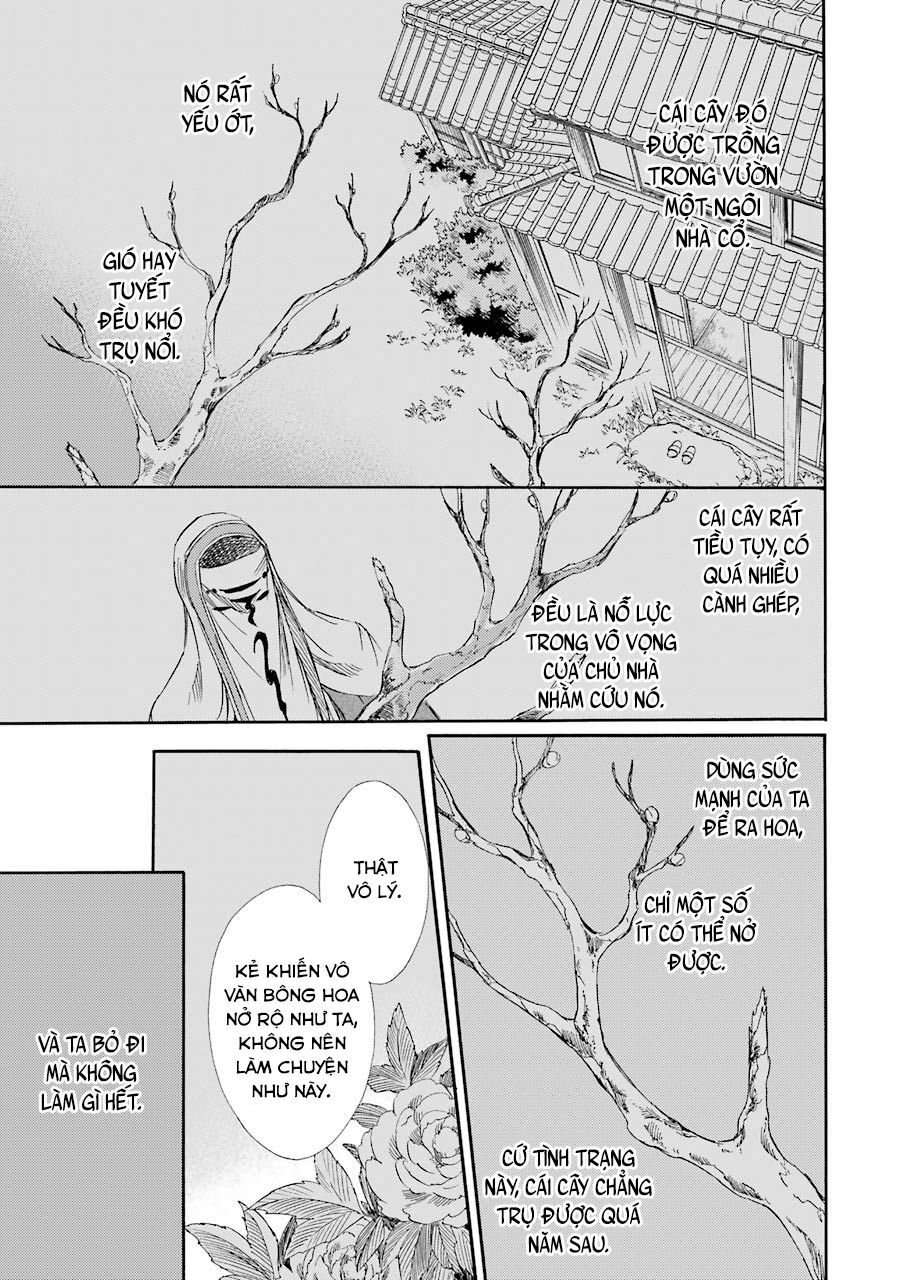 Vị thần Ma Cà Rồng: Chapter 19: Thương mến mùa xuân