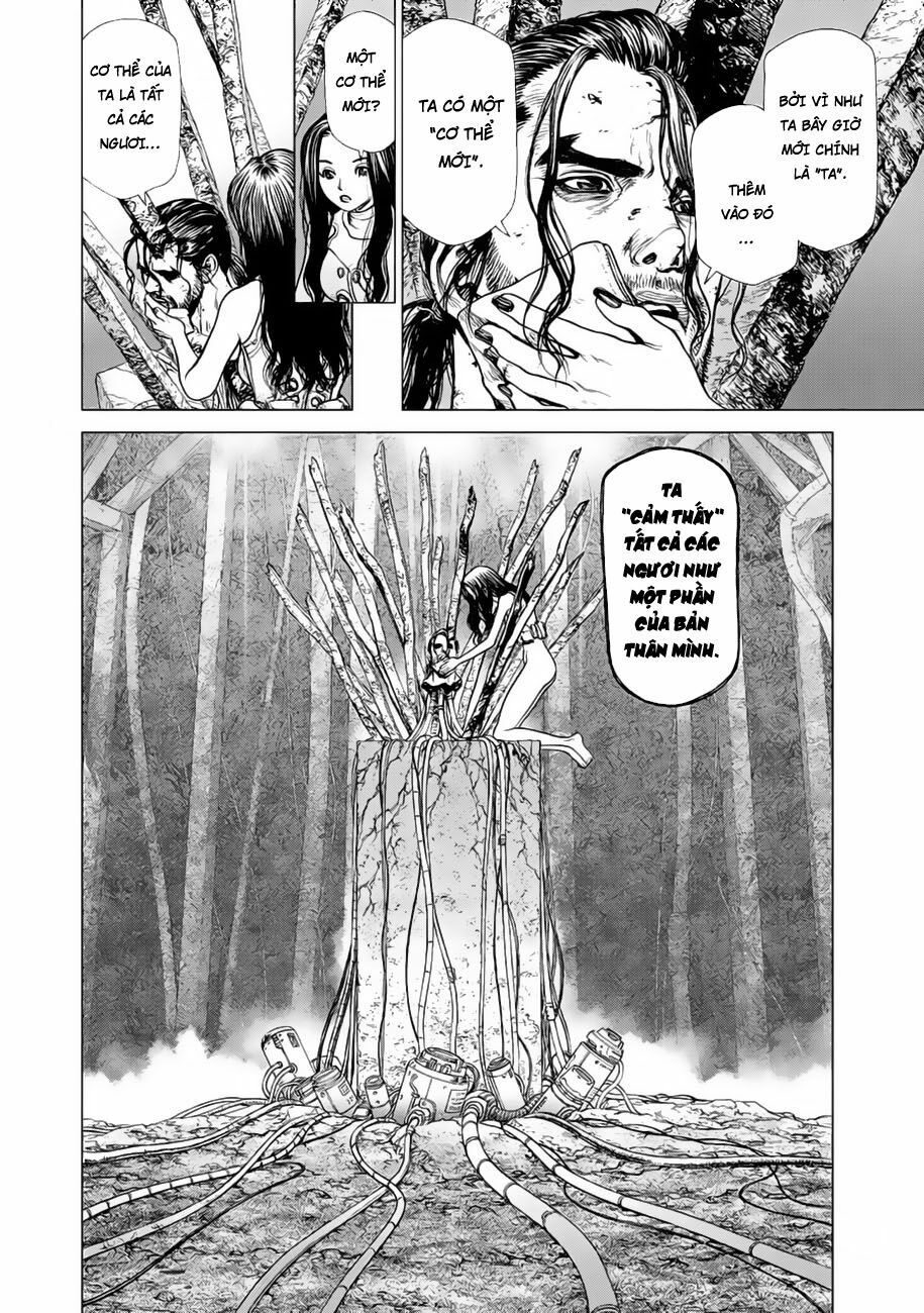Origin: Chapter 14