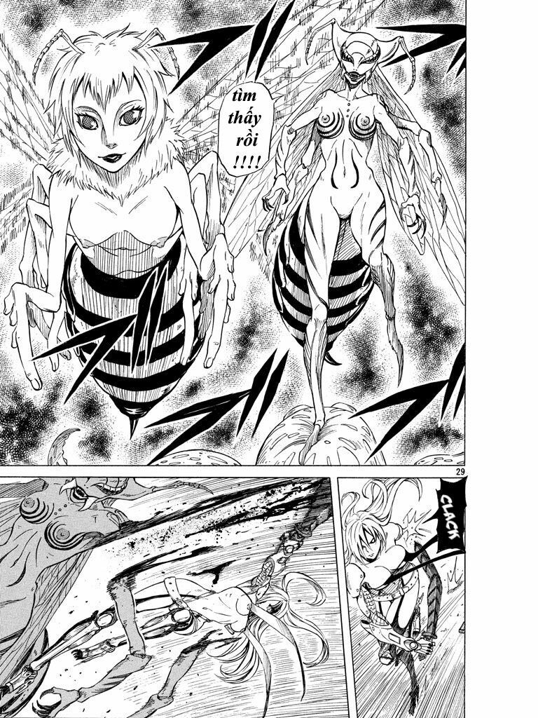 Thế giới hỗn loạn: Chapter 1