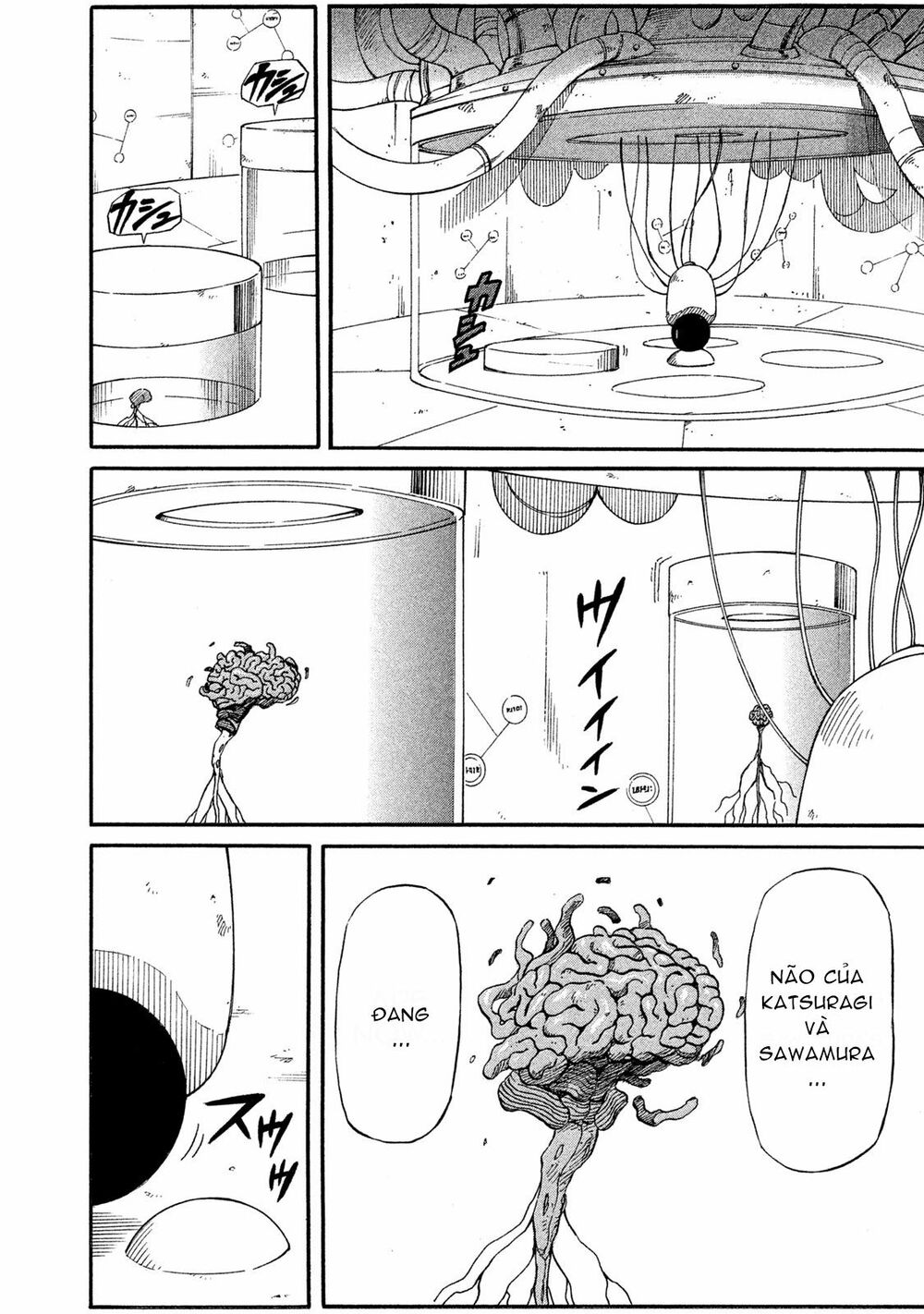 Thế giới hỗn loạn: Chapter 17: Sức mạnh của nhân loại