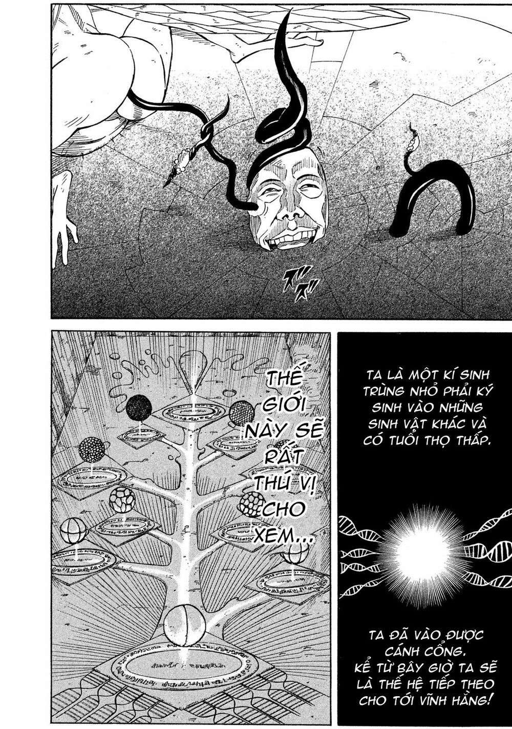 Thế giới hỗn loạn: Chapter 21: Chim