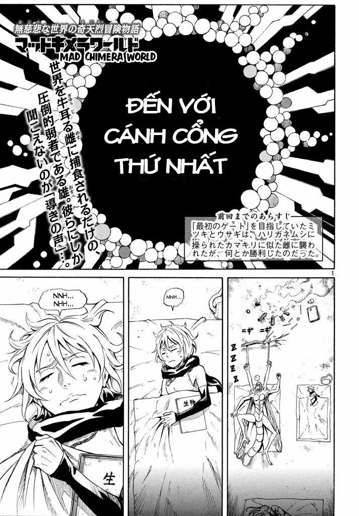 Thế giới hỗn loạn: Chapter 5