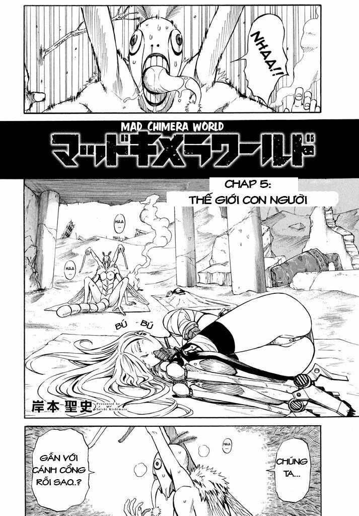 Thế giới hỗn loạn: Chapter 5