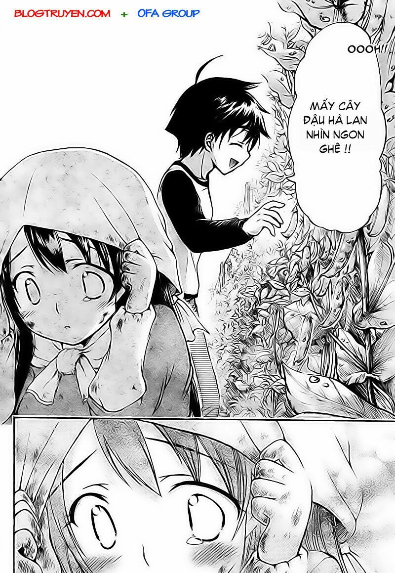 Vật Thất Lạc Của Bầu Trời: Chapter 37: - Hiyori -